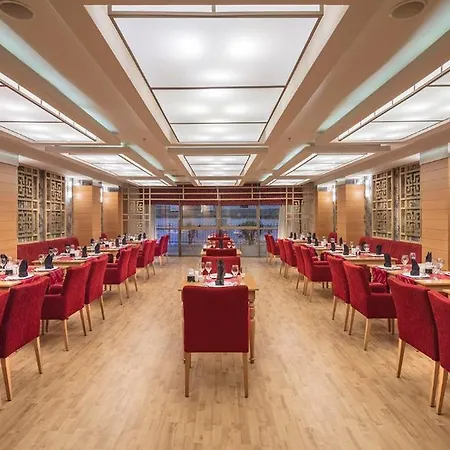 度假村 艾丁贝国王皇宫酒店 锡德